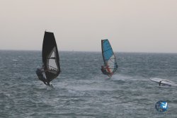 20240802-Franqui-024.jpg