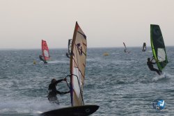 20240802-Franqui-052.jpg