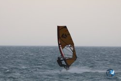20240802-Franqui-071.jpg