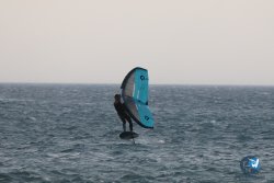 20240802-Franqui-084.jpg