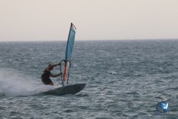 20240802-Franqui-085.jpg