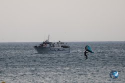 20240802-Franqui-117.jpg