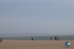 20240802-Franqui-129.jpg