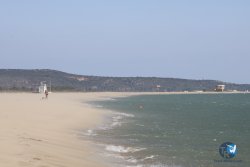 20240803-Franqui-024.jpg