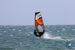 20240815-Franqui-003.jpg