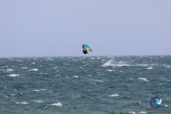 20240815-Franqui-008.jpg