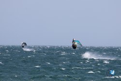 20240815-Franqui-037.jpg