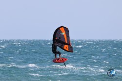 20240815-Franqui-048.jpg