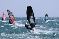20240815-Franqui-062.jpg