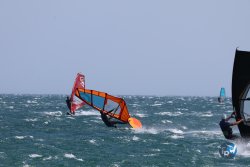 20240815-Franqui-063.jpg