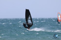 20240815-Franqui-071.jpg