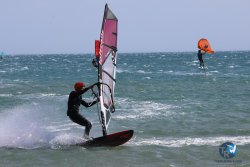 20240815-Franqui-085.jpg