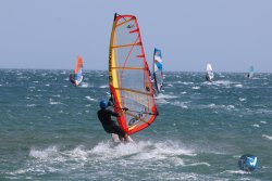20240815-Franqui-088.jpg