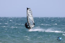 20240815-Franqui-091.jpg