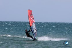20240815-Franqui-092.jpg