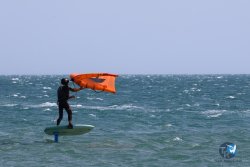 20240815-Franqui-094.jpg