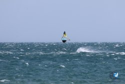 20240815-Franqui-097.jpg