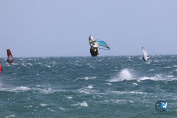 20240815-Franqui-103.jpg