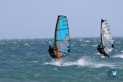 20240815-Franqui-106.jpg