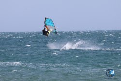 20240815-Franqui-107.jpg