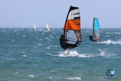 20240815-Franqui-123.jpg