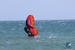 20240815-Franqui-128.jpg