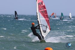 20240815-Franqui-131.jpg