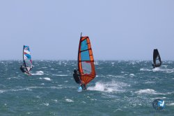 20240815-Franqui-143.jpg