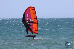 20240815-Franqui-151.jpg