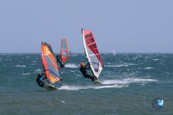 20240815-Franqui-153.jpg