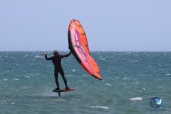 20240815-Franqui-158.jpg