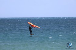 20240815-Franqui-204.jpg
