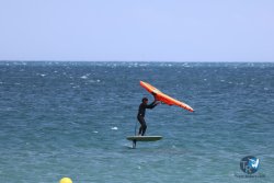 20240815-Franqui-205.jpg