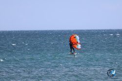 20240815-Franqui-210.jpg