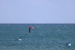 20240815-Franqui-213.jpg