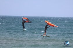20240815-Franqui-222.jpg