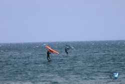 20240815-Franqui-225.jpg