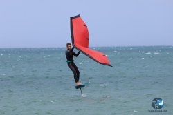 20240815-Franqui-257.jpg