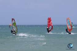 20240815-Franqui-262.jpg