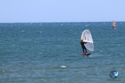 20240815-Franqui-280.jpg