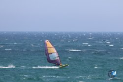 20240831-Argeles-009.jpg