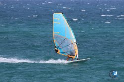 20240831-Argeles-010.jpg