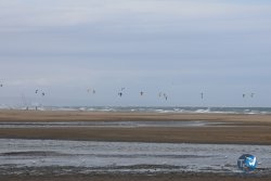 20240906-franqui-vague-001.jpg