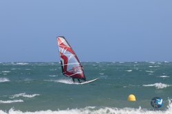20240906-franqui-vague-025.jpg