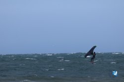 20240906-franqui-vague-059.jpg
