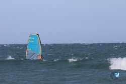 20240906-franqui-vague-066.jpg