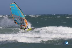 20240906-franqui-vague-108.jpg