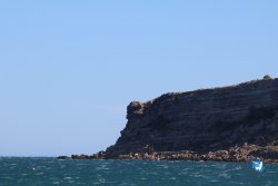 20240914-Franqui-071.jpg