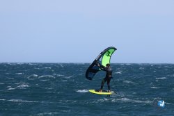 20240914-Franqui-130.jpg