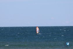 20240914-Franqui-155.jpg